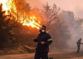 Orman Yangınları Tedbirleri: Yaz Öncesi Alınan Kritik Önlemler Sırrı