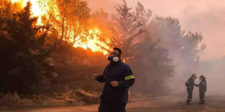Orman Yangınları Tedbirleri: Yaz Öncesi Alınan Kritik Önlemler Sırrı