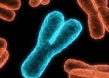 Erkeklik geni Tehlike Altında: Y Kromozomu Hızla Eriyor