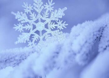 Zemheri Ayazı Bağışıklığı Vurabilir: Ani Soğuklara Dikkat