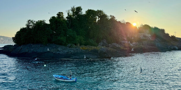 Giresun Adası Turizme Açılıyor Haberi Bölge Esnafını Sevindirdi