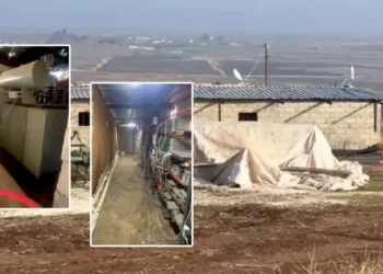 Şanlıurfa Jandarma Ekiplerinden Ahırdaki Kripto Üssüne Şok Baskın