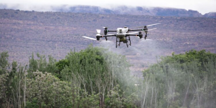 Tarlalara ilaçlama yapan modern tarım dronu ve arka planda dağ manzarası